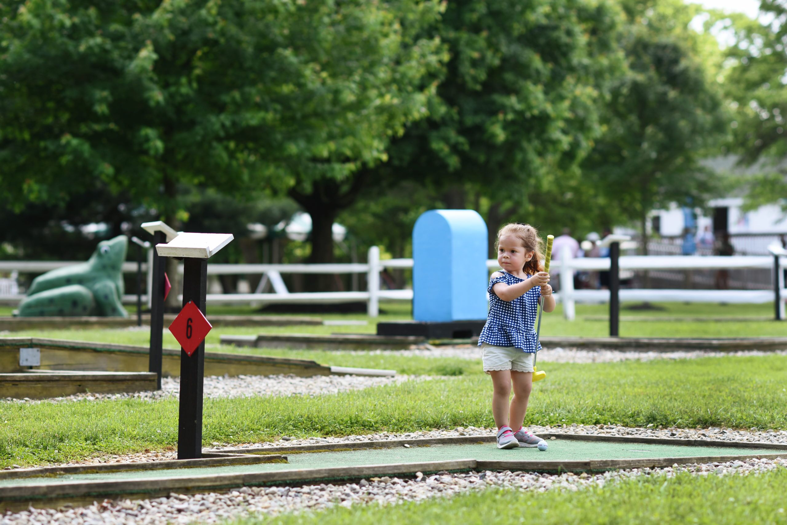 Amenities & Facilities Sports Fields AND Mini Golf (2) (1)