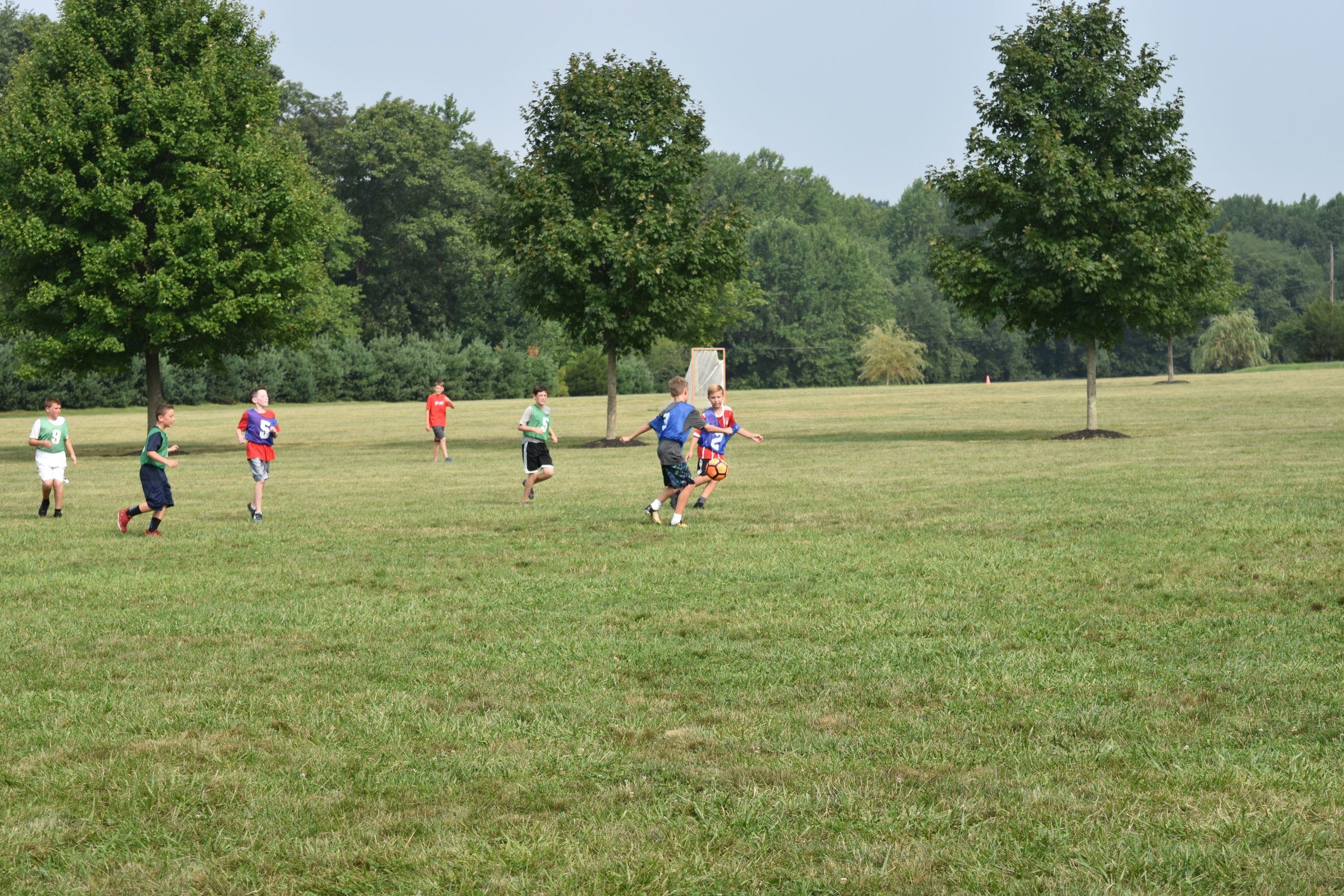 Soccer Fields